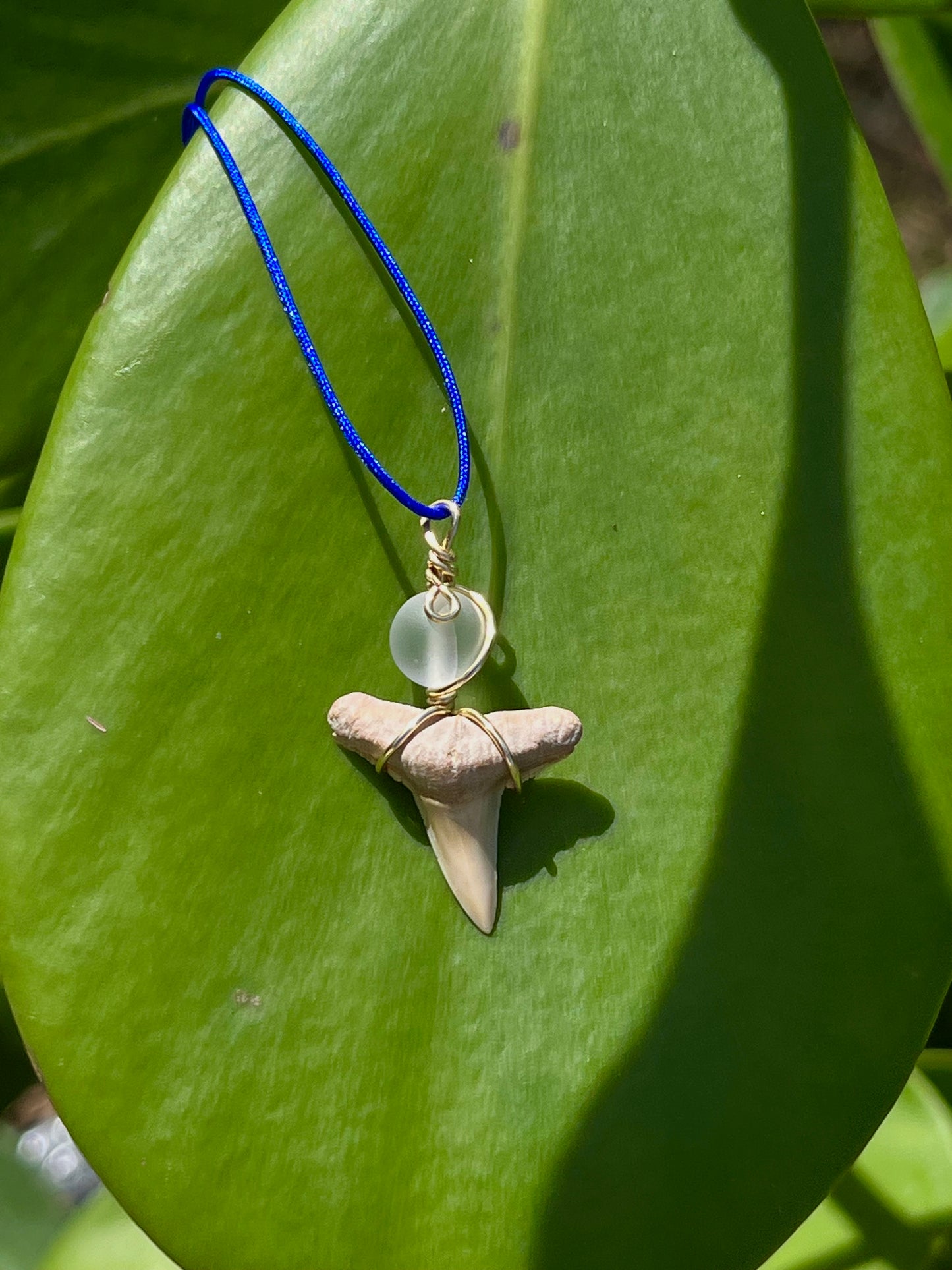 SHARK TOOTH NECKLACE