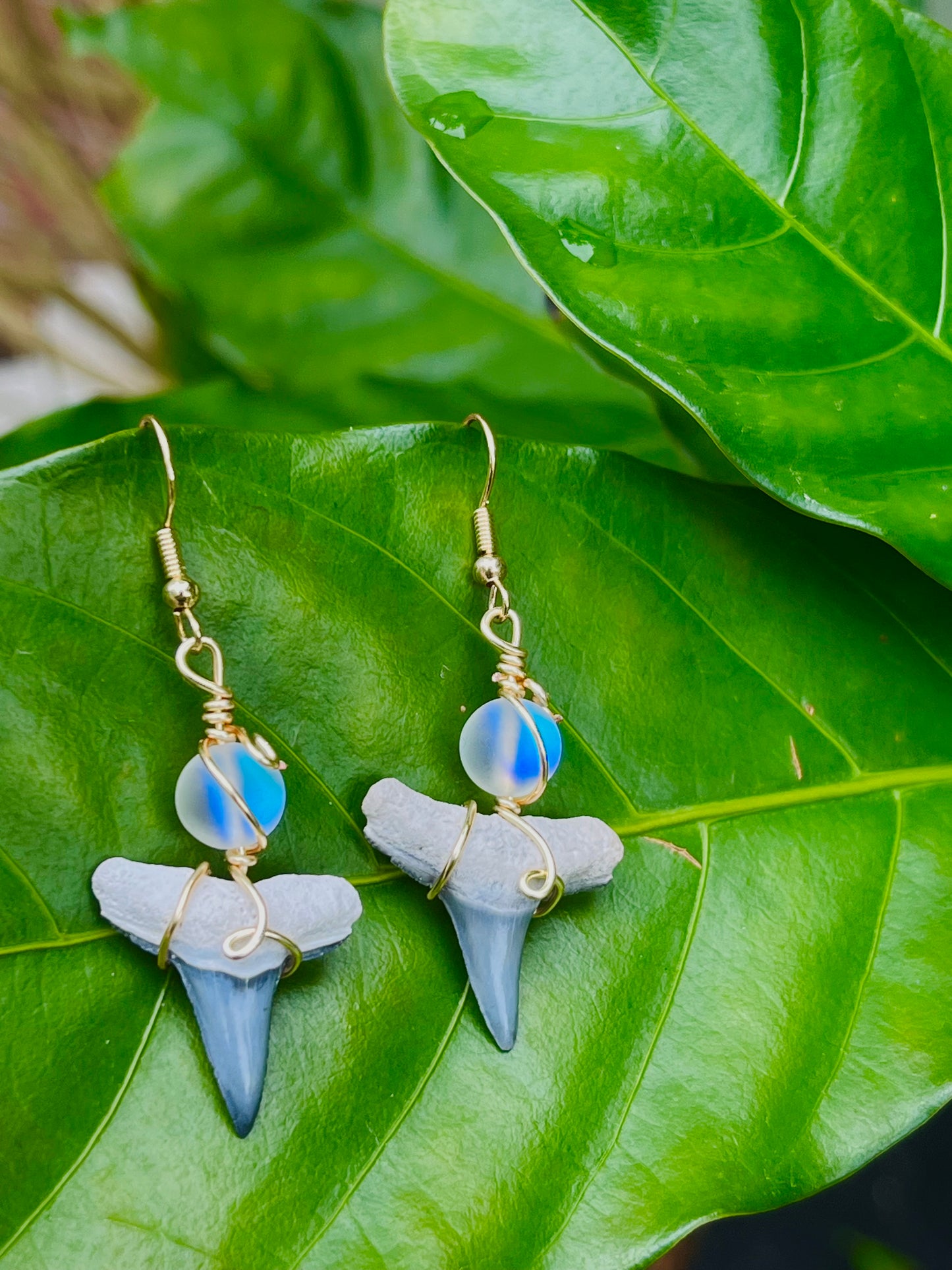 Dangle shark tooth earrings