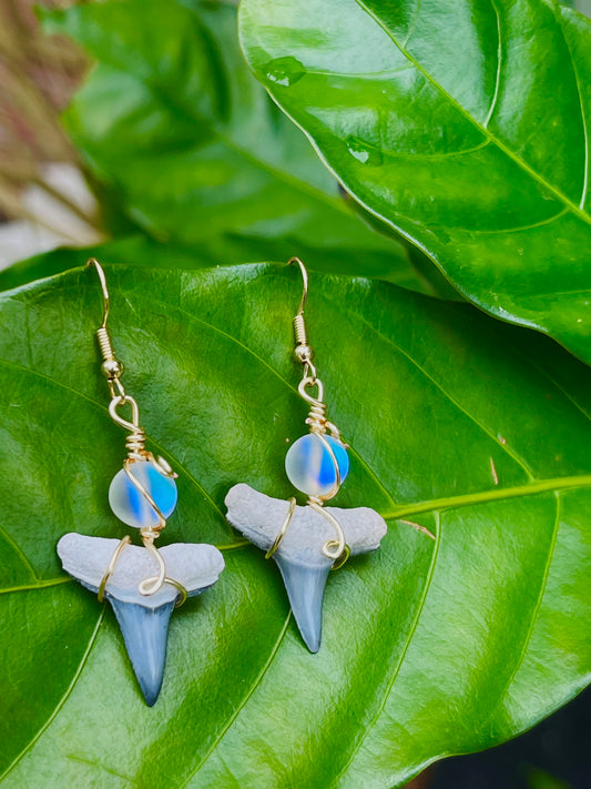 Dangle shark tooth earrings